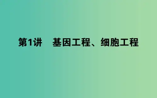 高考生物二轮复习 专题九 现代生物科技专题 第1讲 基因工程、细胞工程课件