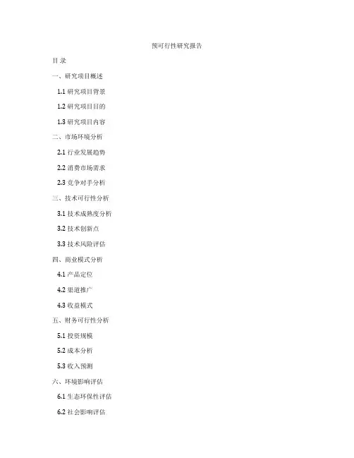 预可行性研究报告