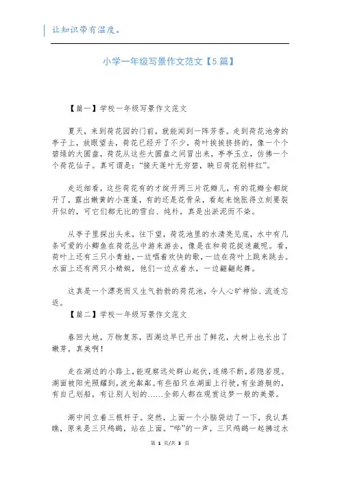 小学一年级写景作文范文【5篇】新