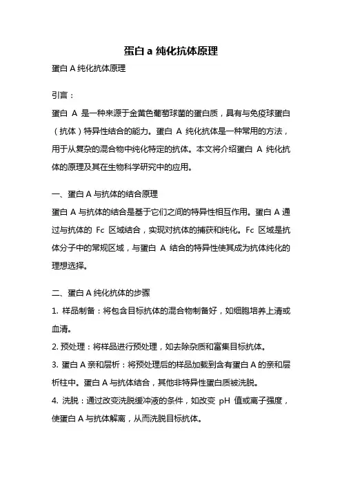 蛋白a纯化抗体原理