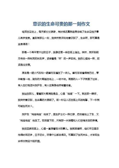 意识的生命可贵的那一刻作文