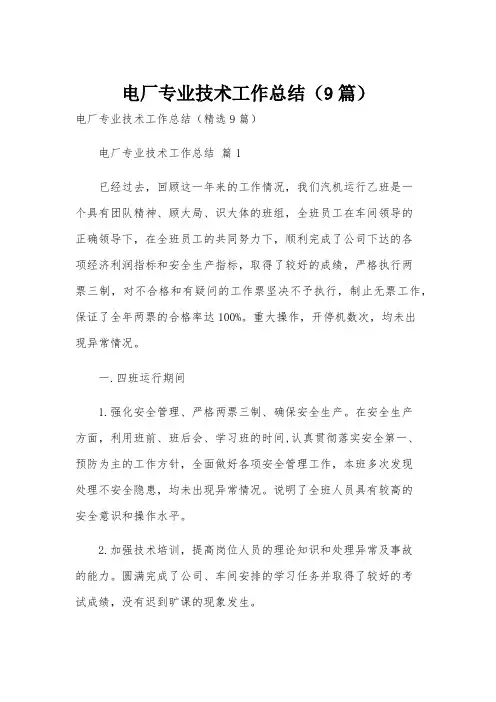 电厂专业技术工作总结(9篇)
