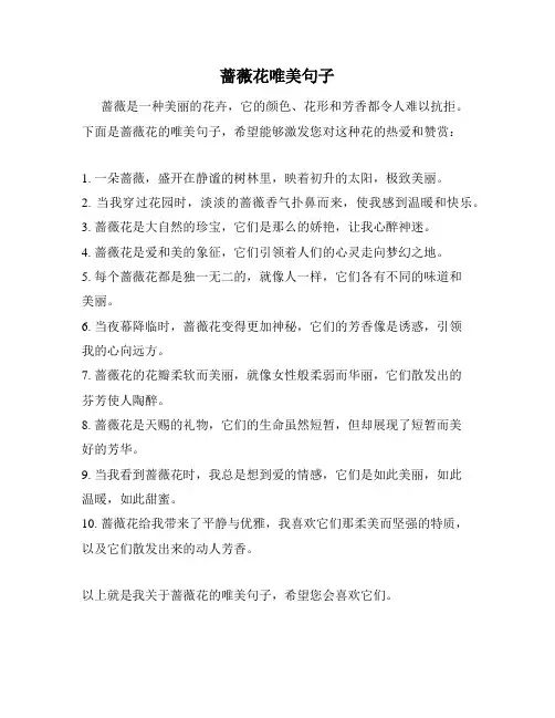 蔷薇花唯美句子