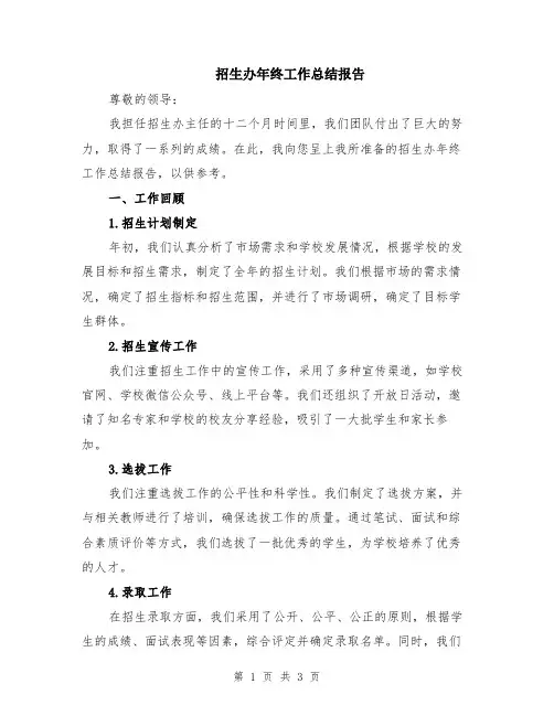 招生办年终工作总结报告
