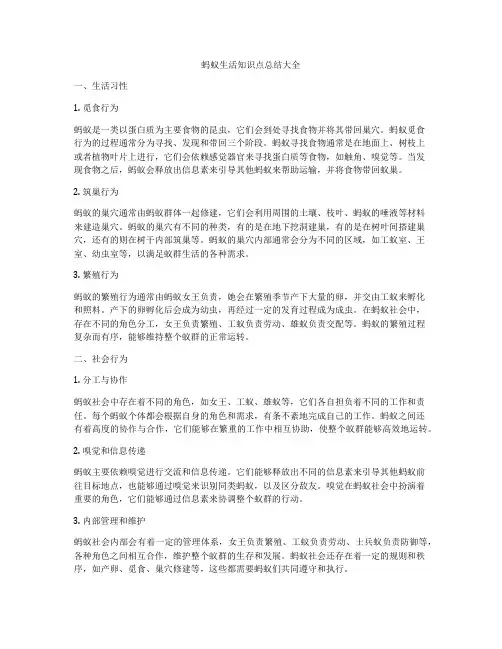 蚂蚁生活知识点总结大全