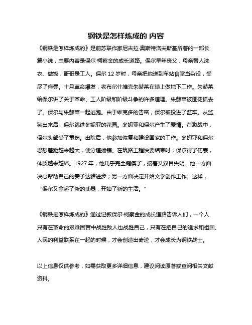 钢铁是怎样炼成的 内容