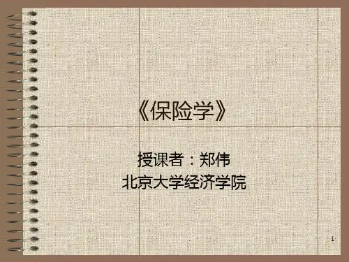 【管理精品】第一章风险与风险管理PPT课件