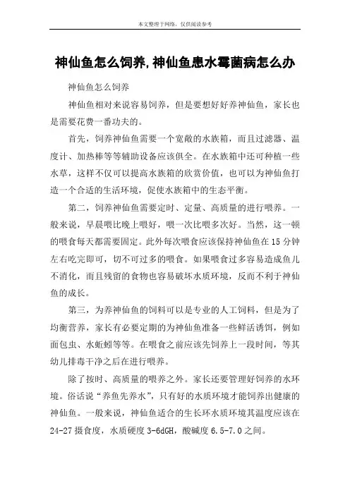 神仙鱼怎么饲养,神仙鱼患水霉菌病怎么办