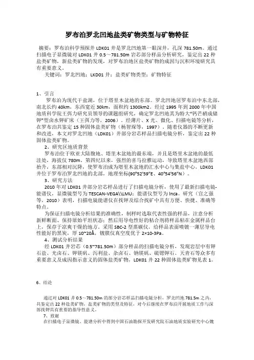 罗布泊罗北凹地盐类矿物类型与矿物特征