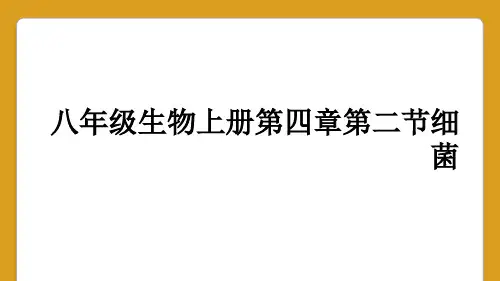 八年级生物上册第四章第二节细菌