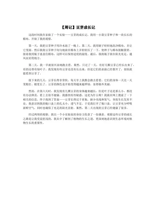【周记】豆芽成长记