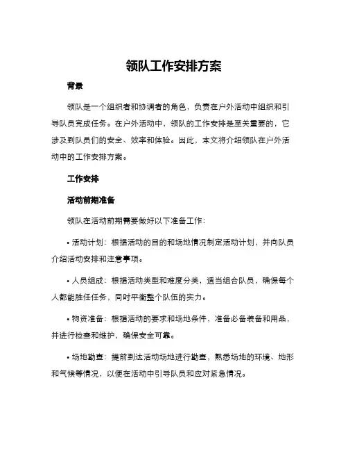 领队工作安排方案