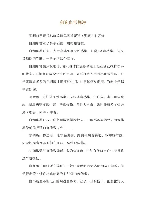 狗狗血常规淋