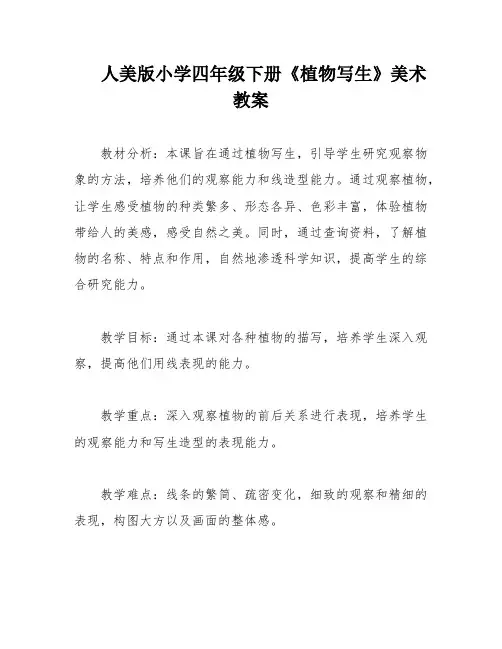 人美版小学四年级下册《植物写生》美术教案