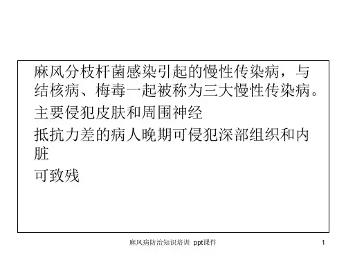 麻风病防治知识培训 ppt课件