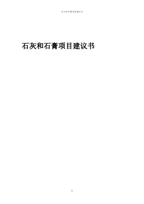 2024年石灰和石膏项目建议书