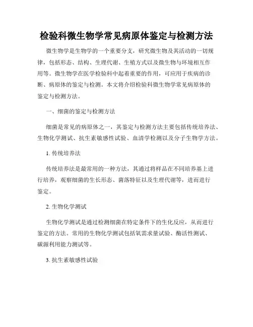 检验科微生物学常见病原体鉴定与检测方法