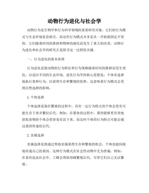 动物行为进化与社会学