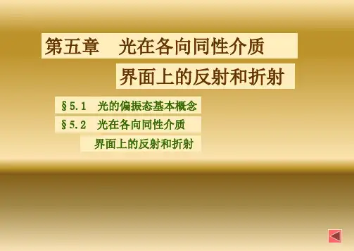 第五章光在各向同性介质界面上的反射和折射 光学课件
