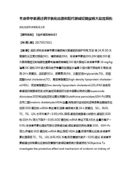 冬凌草甲素通过调节氧化应激和脂代谢减轻糖尿病大鼠肾损伤