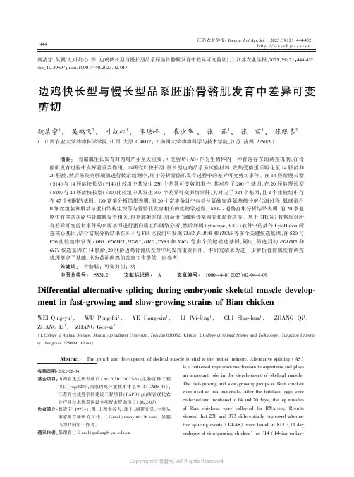 边鸡快长型与慢长型品系胚胎骨骼肌发育中差异可变剪切