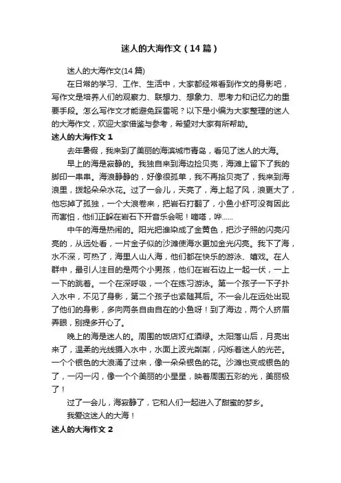 迷人的大海作文（14篇）