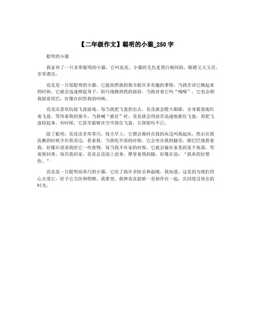 【二年级作文】聪明的小猫_250字