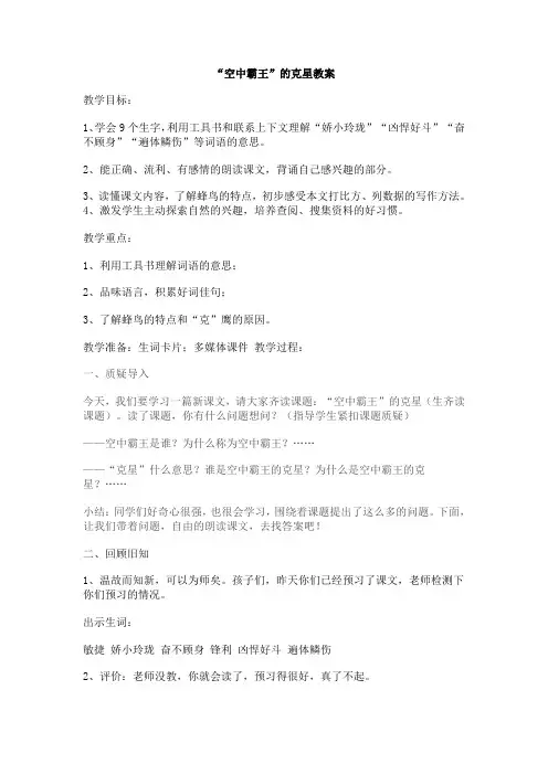 空中霸王教案