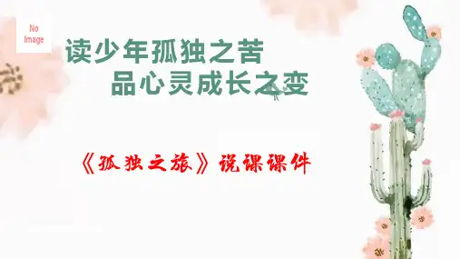 《孤独之旅》ppt课件