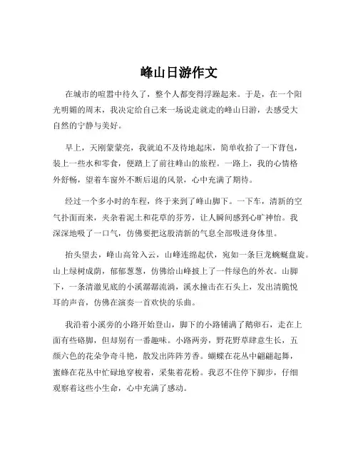 峰山日游作文