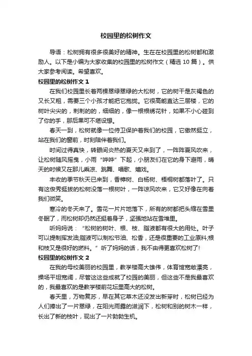校园里的松树作文（精选10篇）