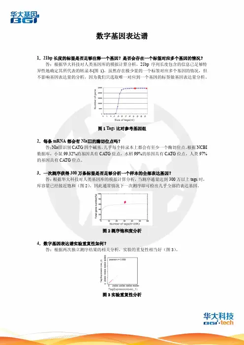 数字基因表达谱（DGE）-华大科技
