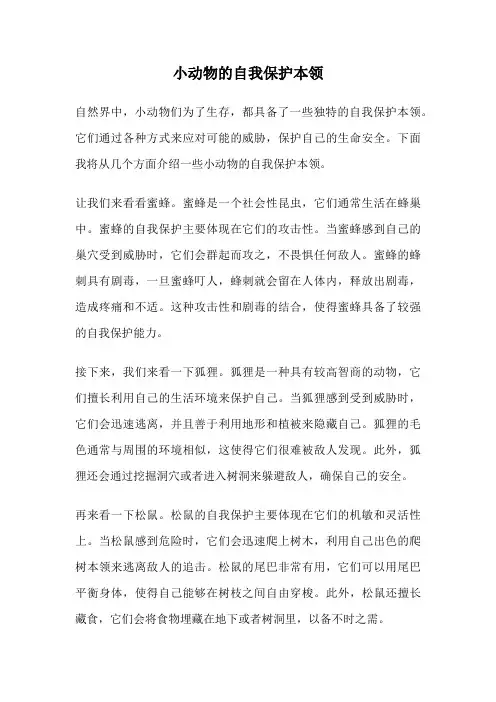 小动物的自我保护本领