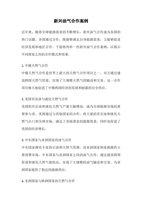 新兴油气合作案例