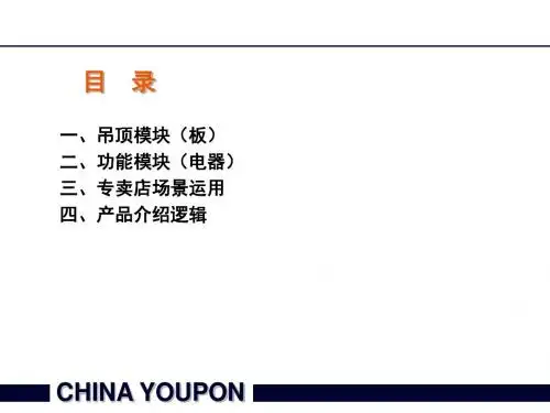 友邦集成吊顶链堢増-PPT精品文档