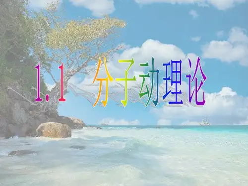 教科初中物理九上《1.1 分子动理论》PPT课件