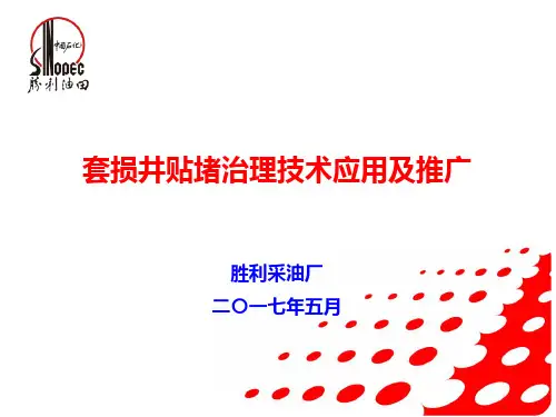 套损井贴堵治理技术应用及推广ppt课件