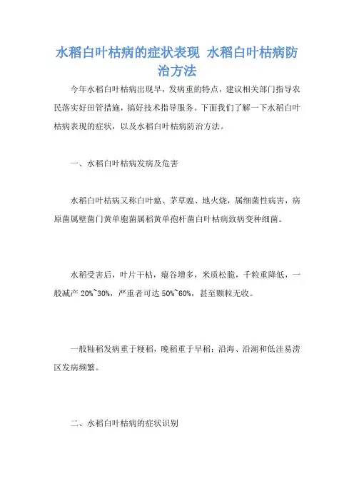 水稻白叶枯病的症状表现 水稻白叶枯病防治方法