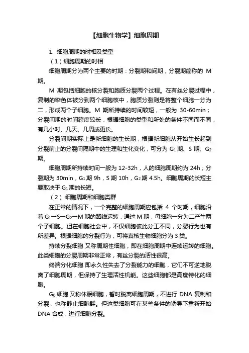 【细胞生物学】细胞周期
