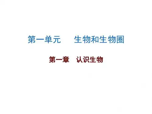 广东省中考生物复习课件：第一章 认识生物