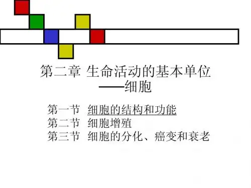 生命活动的基本单位——细胞