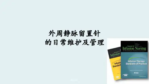 留置针日常维护与管理