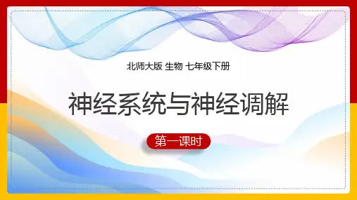初中生物北师大版七年级下册《第12章第1节第1课时神经系统与神经调节》课件