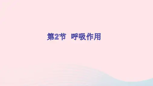 北师大版生物七年级上册课件5.2-呼吸作用