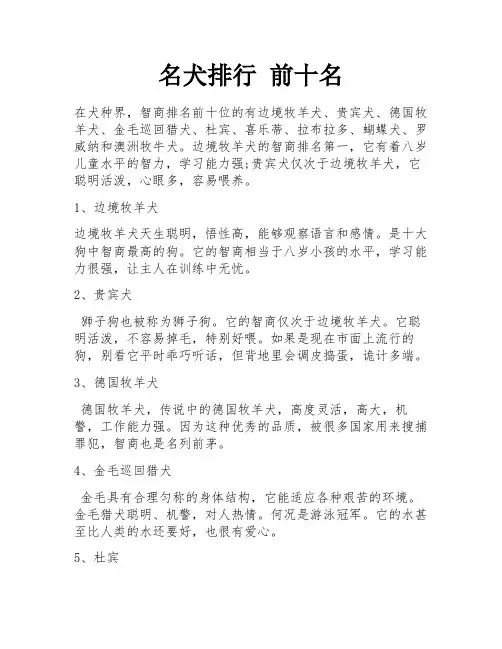 名犬排行 前十名