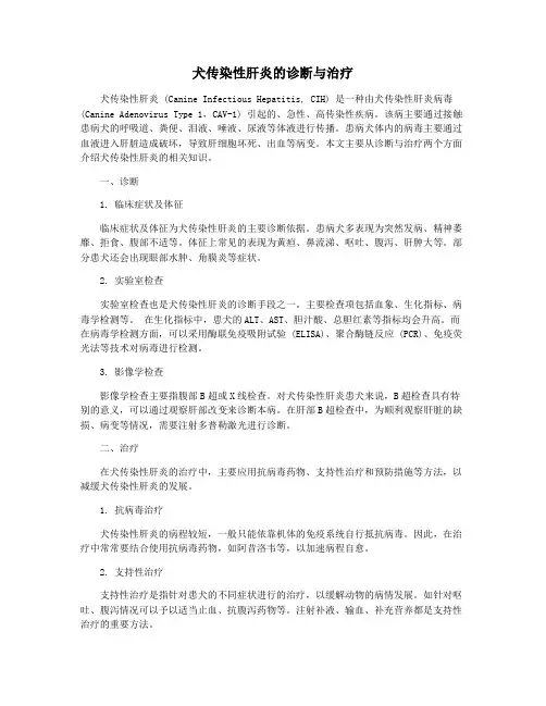 犬传染性肝炎的诊断与治疗