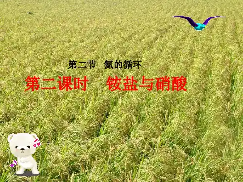 鲁科版化学必修一3.2氮的循环优质课件PPT