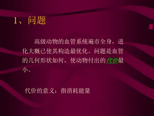 lesson5简单优化模型