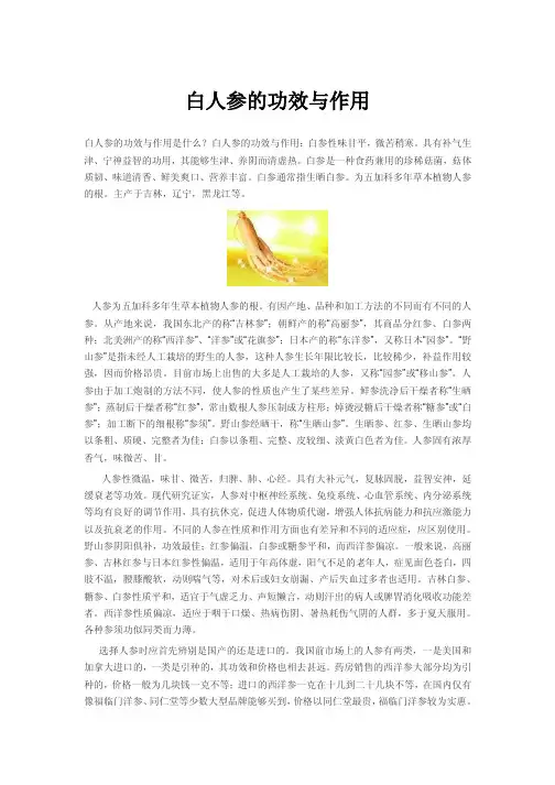 白人参的功效与作用
