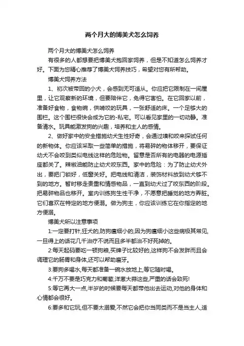 两个月大的博美犬怎么饲养